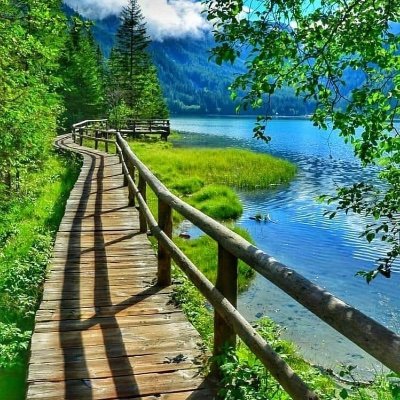 Johnche31889143's profile picture. 
