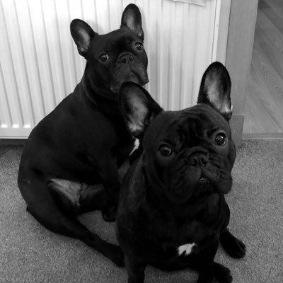 cgallowayxx's profile picture. 