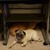 Kandy & Pickle (@kanemunson) Twitter profile photo Kandy & Pickle (@kanemunson) Twitter profile photo