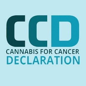 Cancer patients throughout the world need cannabis medicine. Visit https://t.co/oDfUXJXfCM to see the support and how to take action.