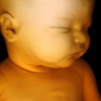 Right To Life Livingston County(@RTLLivingston) 's Twitter Profile Photo