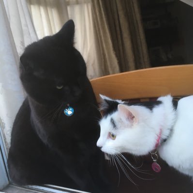 jane05608237's profile picture. 