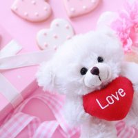 シフォン撮影会 DM窓口 (@chiffon_model) 's Twitter Profile