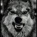 Wolfman (@wolfman4148) Twitter profile photo Wolfman (@wolfman4148) Twitter profile photo