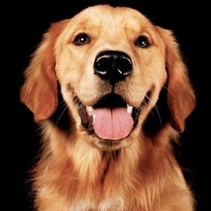 blueber46628447's profile picture. Enjoy life.