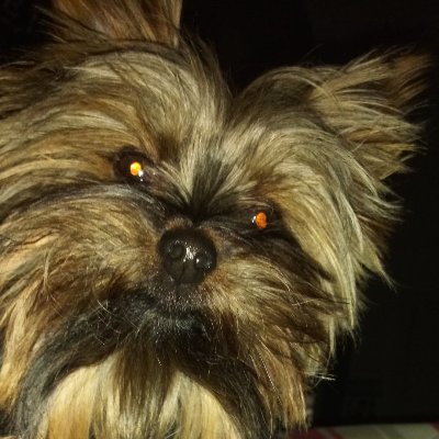 BlackSabbath707's profile picture. 