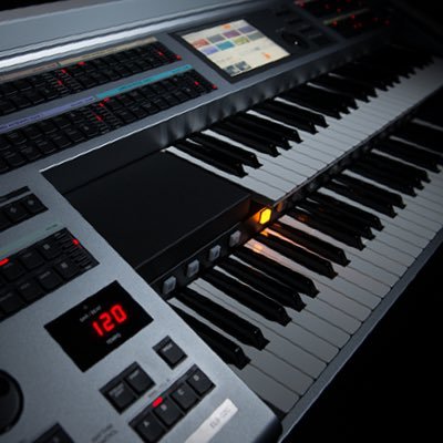 SchokoladeTon's profile picture. 