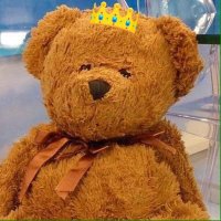 Coco Da Bear 🐻 #BlackLivesMatter(@CocoDaBear) 's Twitter Profile Photo