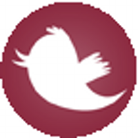 oira (@xoira) 's Twitter Profile