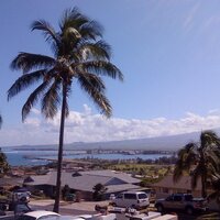 Newbie on Maui (@mauitips) 's Twitter Profile