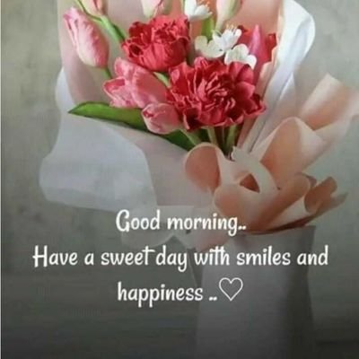 HG25113's profile picture. 