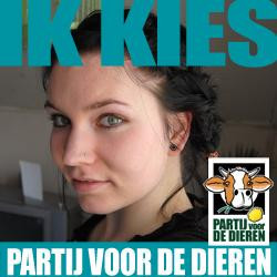 vegetariër, anti-dierenleed,muziek,glutenvrij,lezen,fotografie,probeert zo groen mogelijk te zijn, natuur,