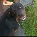 Rose Ramsay - @RoseRR22 - Twitter