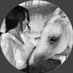 Dalal | 📚 (@dlooola_1) Twitter profile photo Dalal | 📚 (@dlooola_1) Twitter profile photo