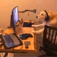 ItMeAids (@aids_it) 's Twitter Profile