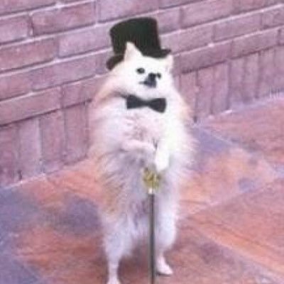 Albatross_TR's profile picture. 