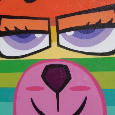 portolone's profile picture. Karl Popper: „In unserer grenzenlosen Unwissenheit sind wir alle gleich.“