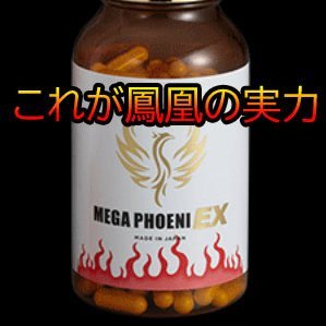 メガフェニEX