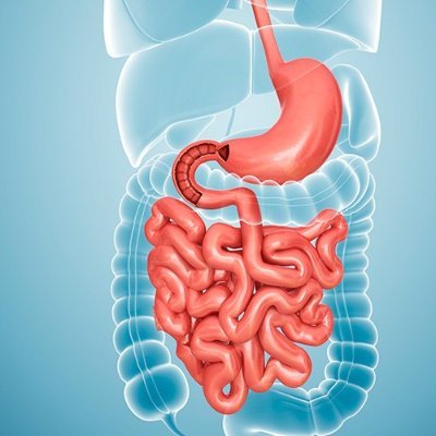 5th International Conference on Digestive Education, which is to be held during November 23-24, 2020 in London, Uk