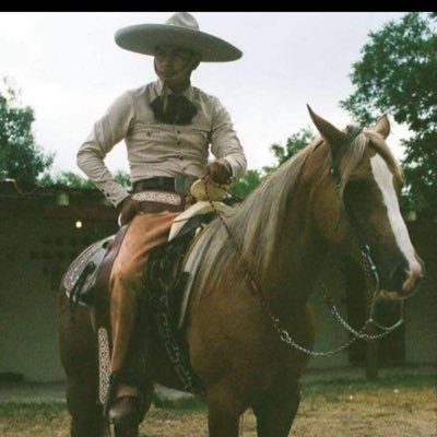 Charreadas 🐴🐮🐂🐎 Banda/corridos/cumbia Wheelchair life Una vida en silla de ruedas Talabarteria Leather work Dios es grande God is live