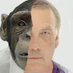 Primate Paul (@richmondparkas) Twitter profile photo Primate Paul (@richmondparkas) Twitter profile photo