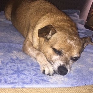 CyndyC15's profile picture. Smart, sassy, sensitive, sometimes seriously pissed off at the world.