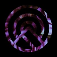Trees Will Tell (@treeswilltell) 's Twitter Profile