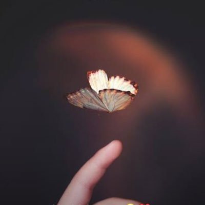 nihakhan__'s profile picture. From the land where they bury the young🍁