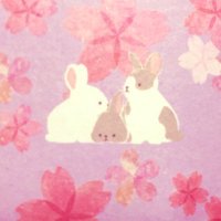 そつね (@oa8sih) 's Twitter Profile