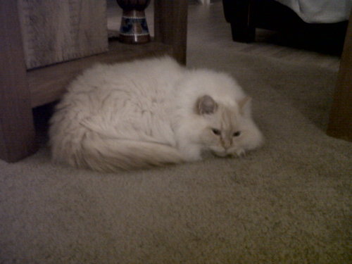 WennydeB's profile picture. 