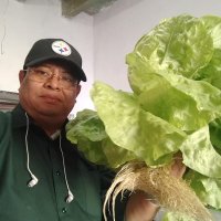 pepe kim (@kimiyea) 's Twitter Profile