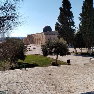 m_fetih's profile picture. Kişi bilmediğinin düşmanıdır. 
Beni dinleyeni ben de dinlerim!

#takibetakip