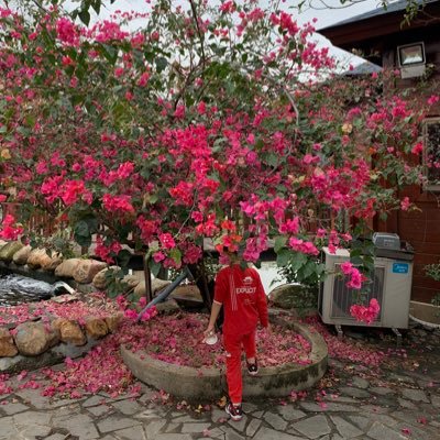 MutuShui's profile picture. 树洞。不私聊。