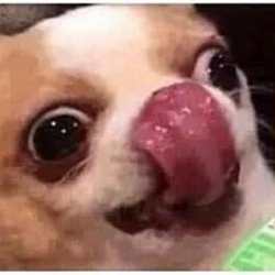 Utani10's profile picture. preciso pensar no que escrever aqui.