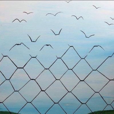 1982_TLY's profile picture. Daima haktan ve haklıdan yana olmak