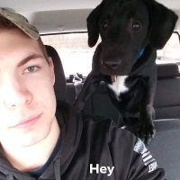 Jacob W Freeze (@jacobwfreeze1) 's Twitter Profile