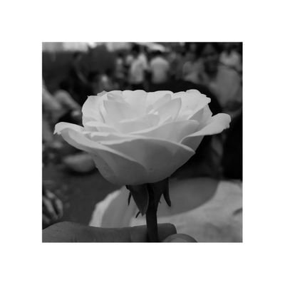 hasmukh_janwa's profile picture. Highly Addicted to Runs | Social Media Manager | Community Admin | @ZoidPay, @DeFinerOrg, @codyfight Ambassador | Social Miner for #Avalanche | $FIN #AVAX $AVAX