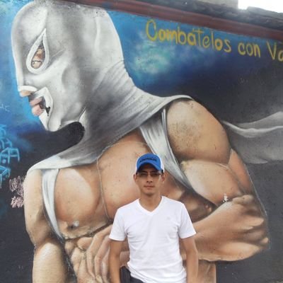 Ingeniero Civil. Maestro en Ingeniería (Hidráulica).