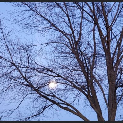 LisaDobis's profile picture. living life to the fullest