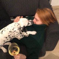 Elisabeth Vajner (@elisabethvajner) 's Twitter Profile