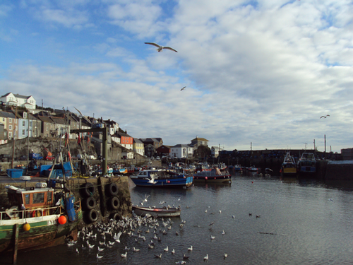 mevagisseyhub's profile picture. Providing useful information to Mevagissey visitors and residents, and reflecting on life in a Cornish fishing village. By Kimbo! (@bykimbo)