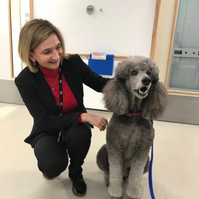 RobuSilvia's profile picture. 