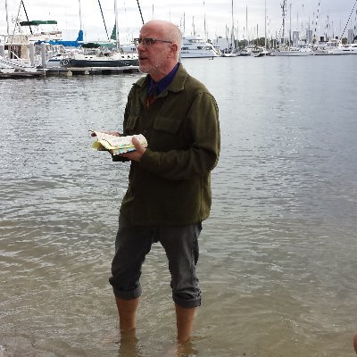 Transplanted New Yorker in Fla. Professor of English @USF. Ally of dioecious plants, early Americanist. #RoadCourse #Creekshed #CityWilds. I try to do good.