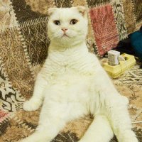 İyilik Yap İyi Ol (@iyilikyap_iyiol) 's Twitter Profile