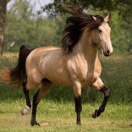 SantosL76023303's profile picture. Orden y Progreso.