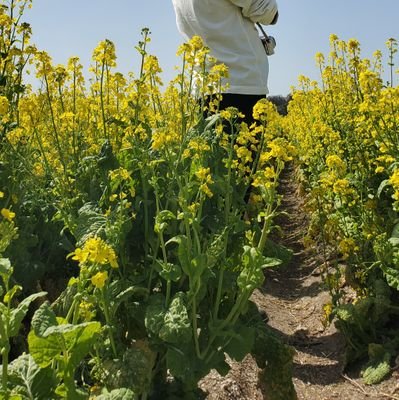 Eseminimalism's profile picture. 2018年3月〜こそこそブログ、note運営してます。ガジェット好きなデュエリスト🃏現布陣▶︎iPhone 17 Pro Max（HK）｜vivo X Fold 5（G）｜HONOR Magic 7 RSR（G）