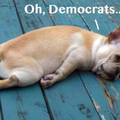 AssignationBy's profile picture. 