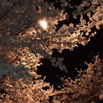 takeshu0810291's profile picture. メモ