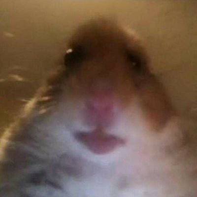 proge420's profile picture. Twitter people think their opinion is important.