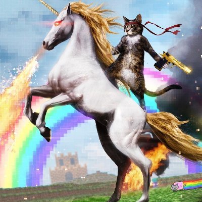 Im CatMat the cat that is riding a Unicorn